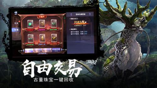 可爱的小考拉