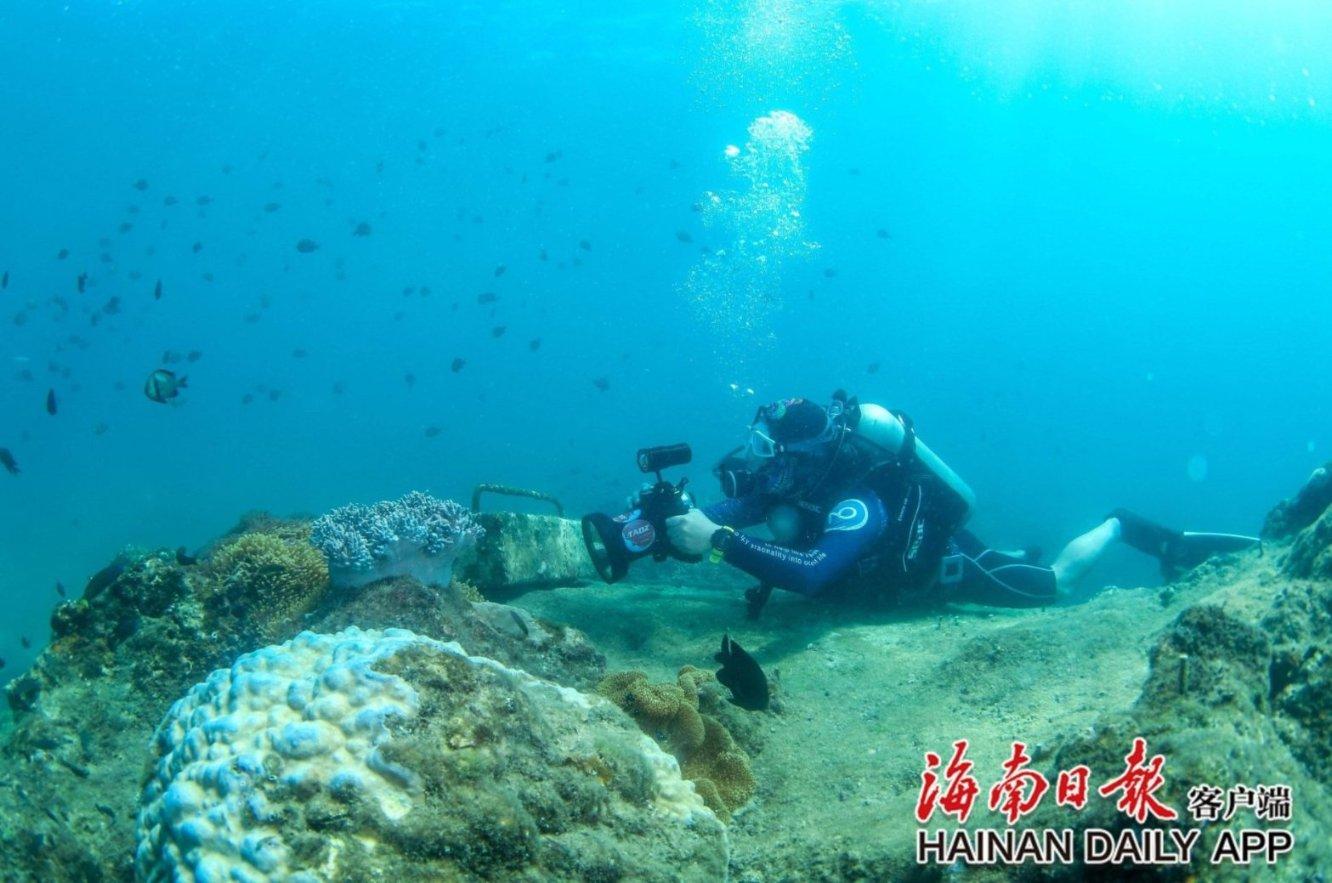 “年在途中·幸福启航” 春运第一天 杭州这一幕走进央视镜头